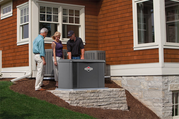 briggs stratton houston